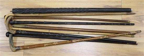 A quantity of walking sticks and canes